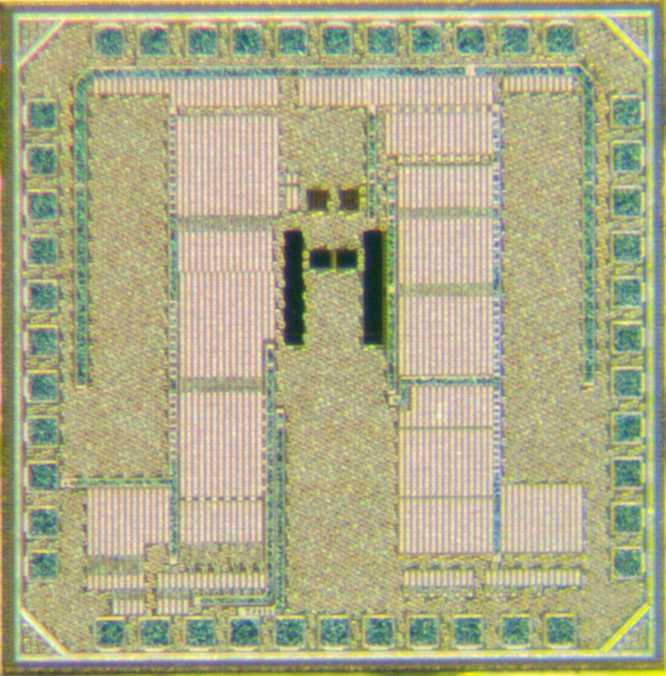 Deltasense, Bio-signal ADC, 2025
