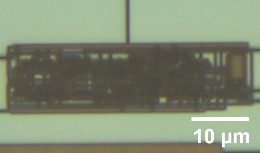 chip-4dopamine